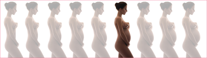24η εβδομάδα εγκυμοσύνης και κοιλιά